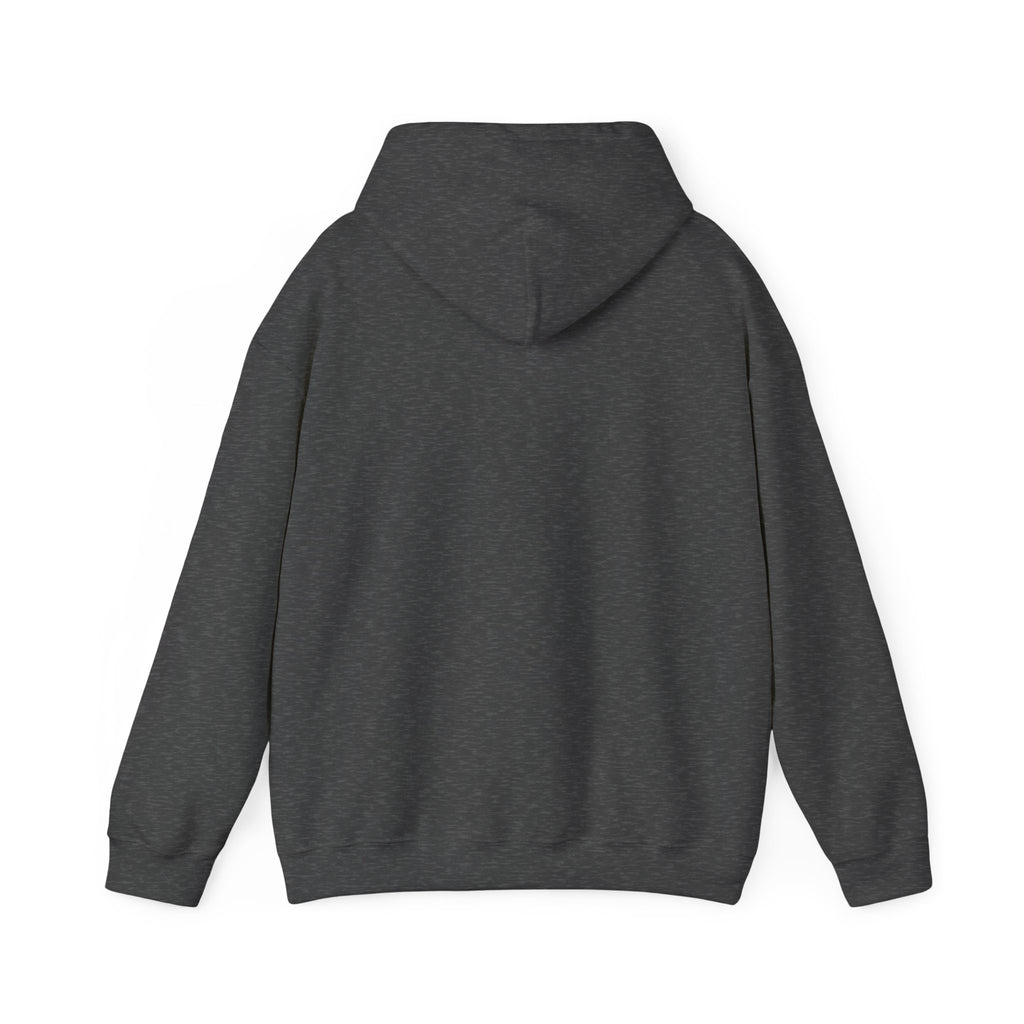 Evotion Original Heavyweight Hoodie – Skate & Surf Pullover for Everyday Hustle
