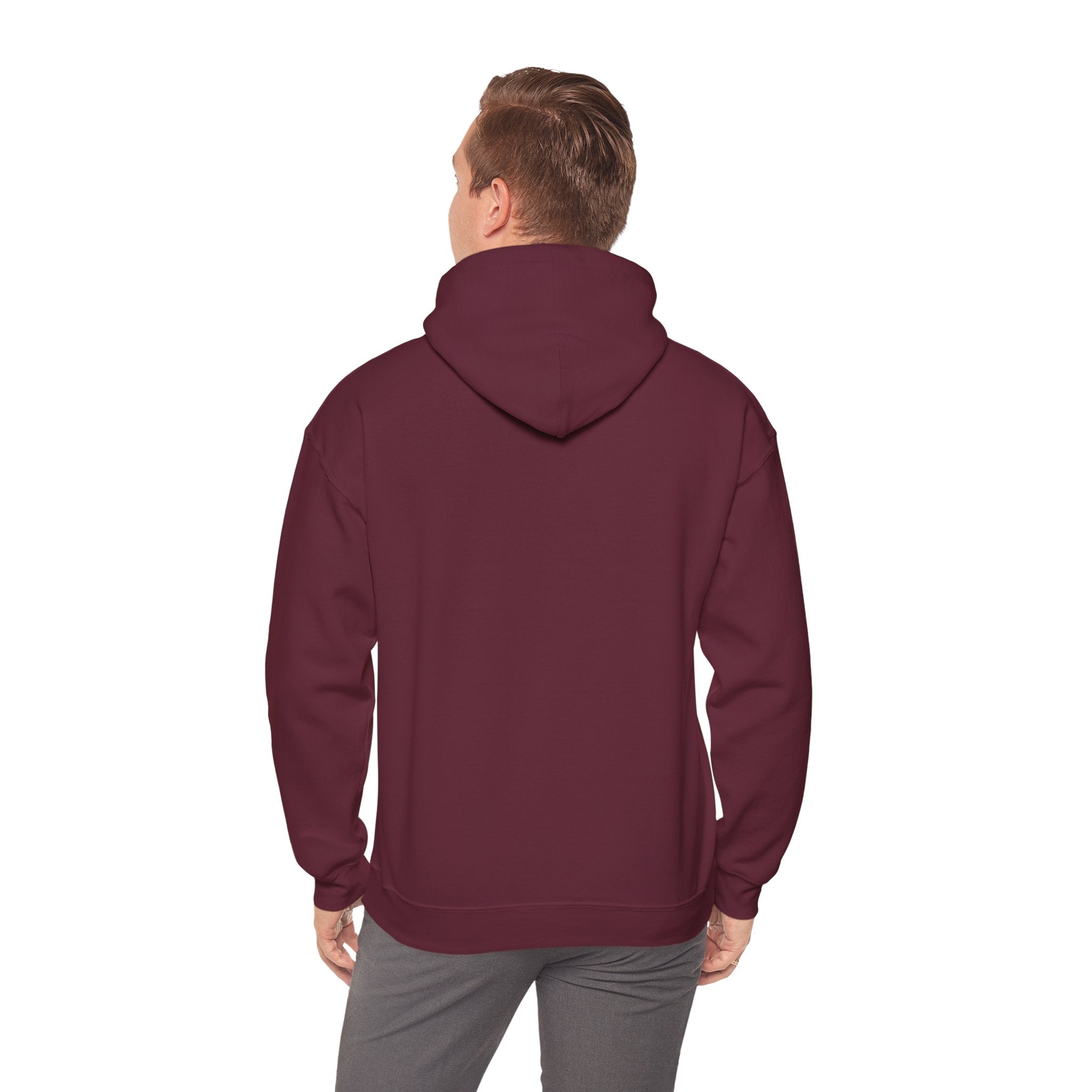 Evotion Wave Inspired Heavyweight Hoodie – Skate & Surf Pullover for Everyday Hustle
