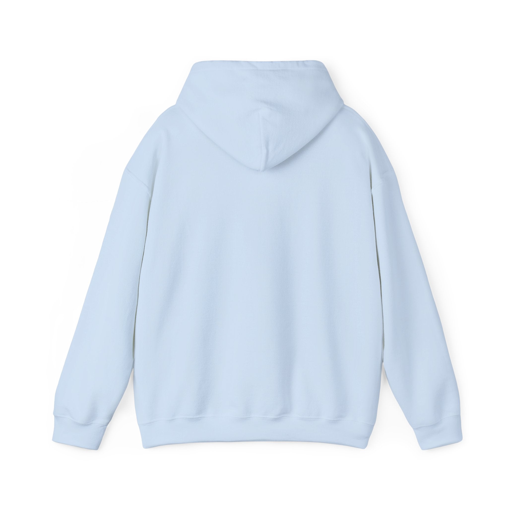 Evotion Original Heavyweight Hoodie – Skate & Surf Pullover for Everyday Hustle
