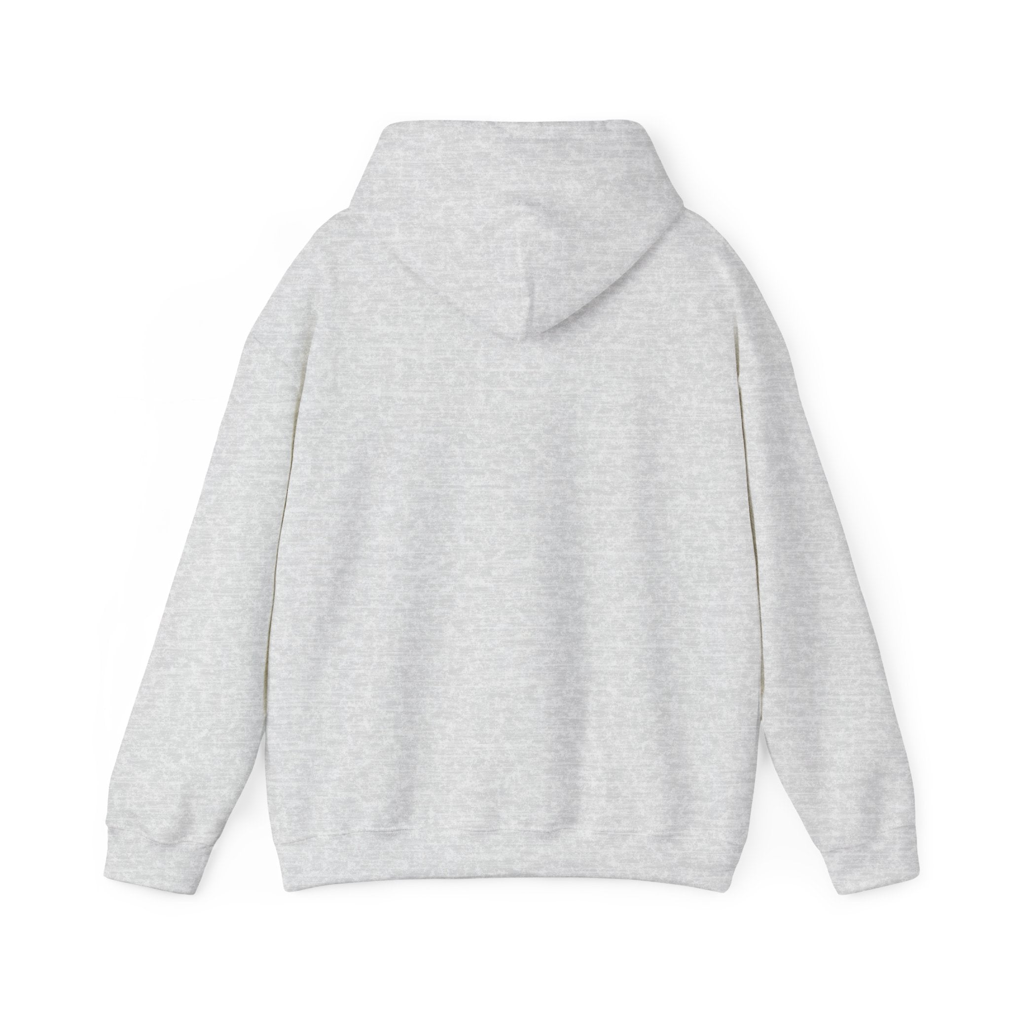 Evotion Original Heavyweight Hoodie – Skate & Surf Pullover for Everyday Hustle