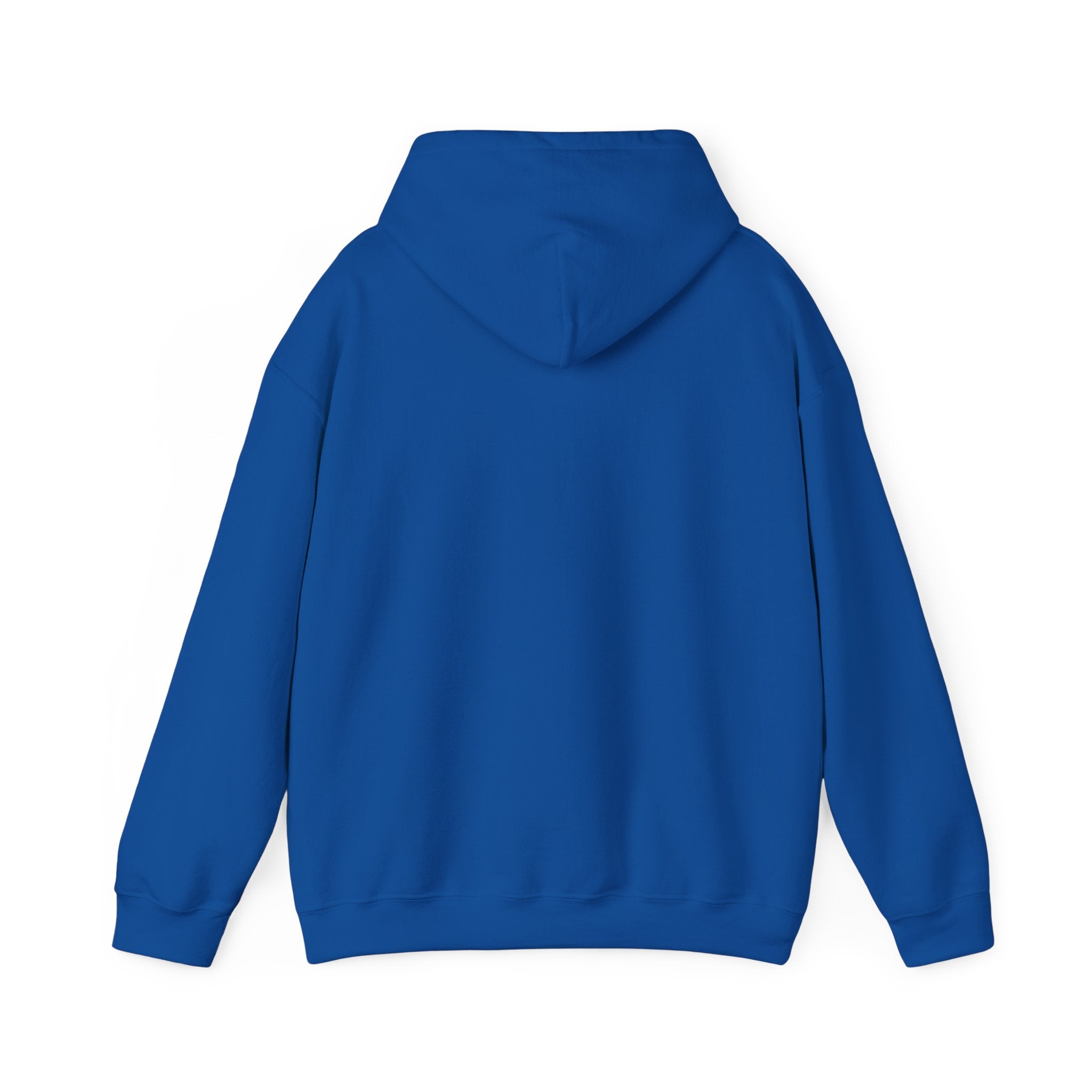 Evotion Original Heavyweight Hoodie – Skate & Surf Pullover for Everyday Hustle