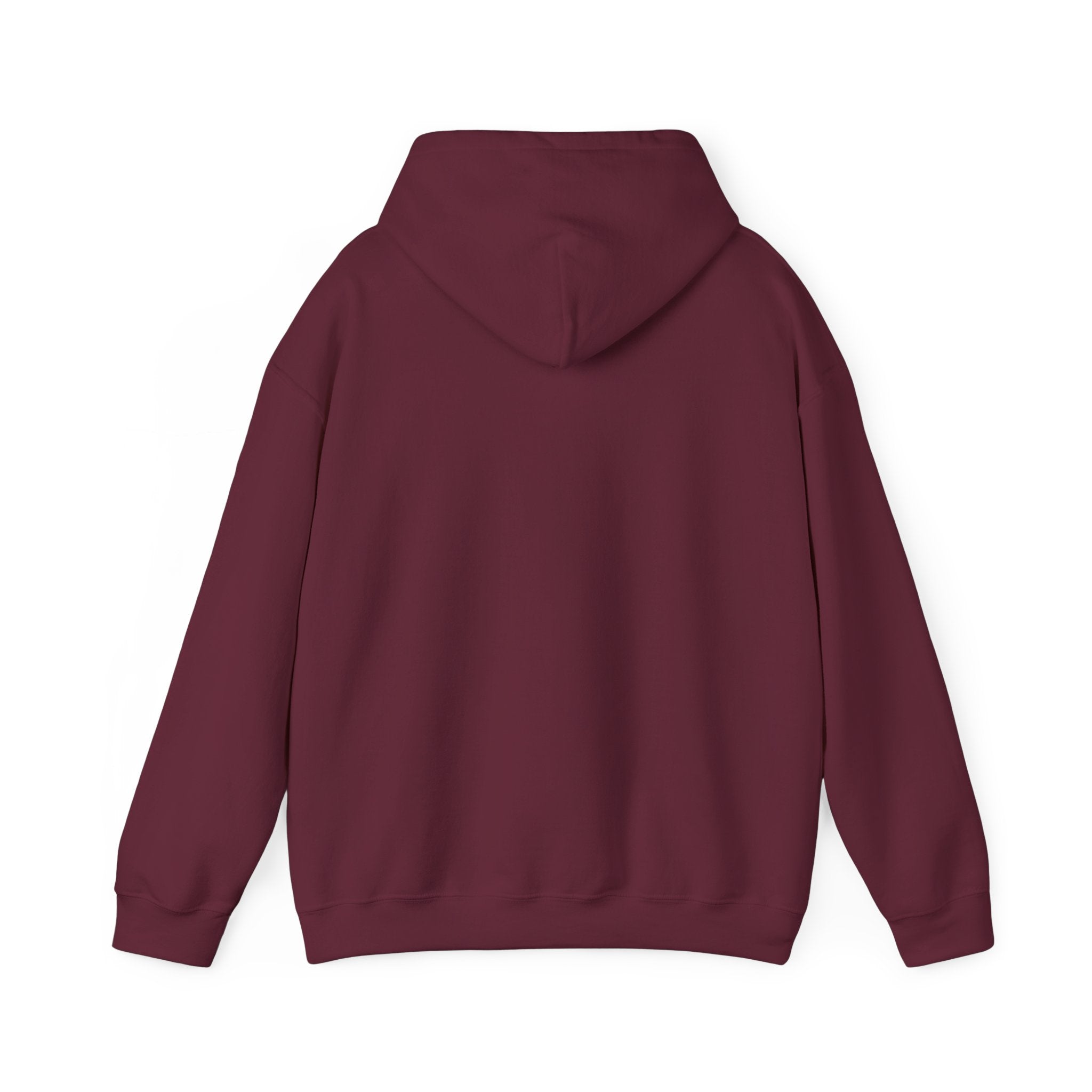 Evotion Original Heavyweight Hoodie – Skate & Surf Pullover for Everyday Hustle