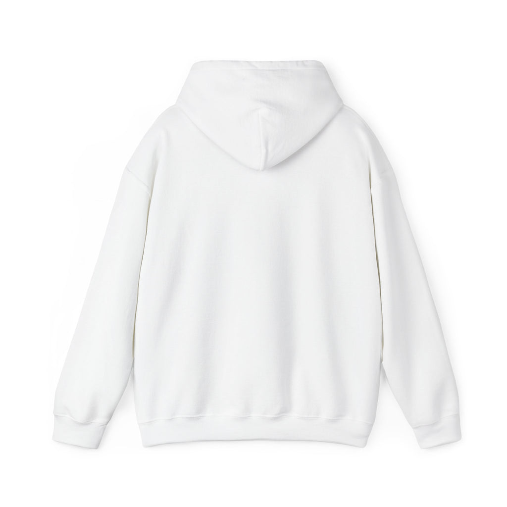 Evotion Wave Inspired Heavyweight Hoodie – Skate & Surf Pullover for Everyday Hustle