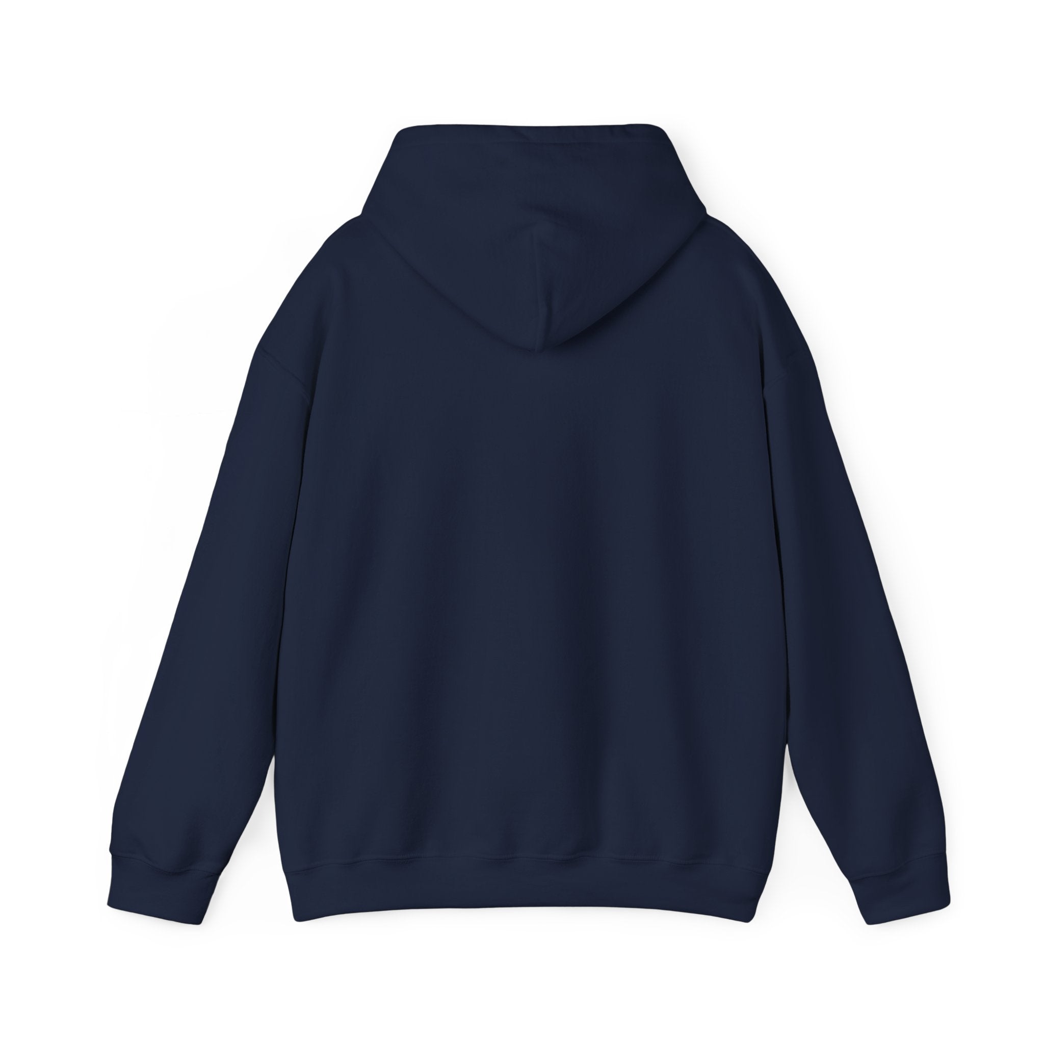 Evotion Original Heavyweight Hoodie – Skate & Surf Pullover for Everyday Hustle